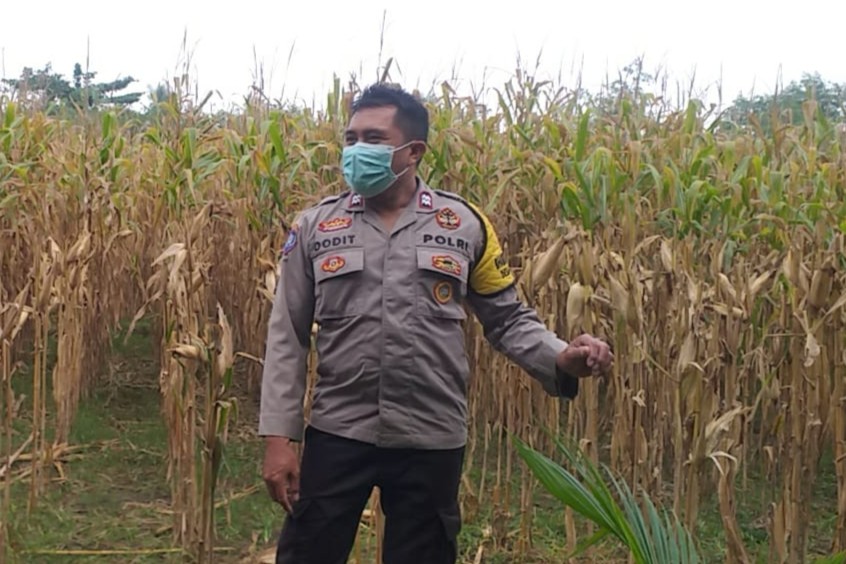 Bhabinkamtibmas Jagaraga Dukung Ketahanan Pangan di Dusun Beremi