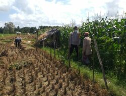 Polisi Dorong Ketahanan Pangan Desa Melalui Lahan Produktif