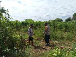 Bhabinkamtibmas Sekotong Barat Dukung Ketahanan Pangan Warga