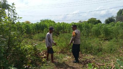 Bhabinkamtibmas Sekotong Barat Dukung Ketahanan Pangan Warga