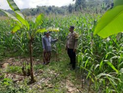 Bhabinkamtibmas Sekotong Timur Dampingi Petani Dukung Ketahanan Pangan