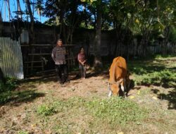 Bhabinkamtibmas Senggigi Dukung Ketahanan Pangan Lokal