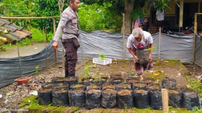 Bhabinkamtibmas Kuripan Utara Dorong Ketahanan Pangan Rumah Tangga