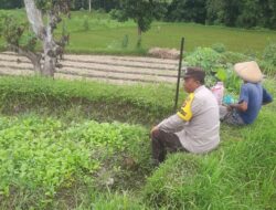 Polri Dorong Ketahanan Pangan di Desa Montong Are