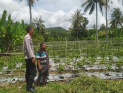 Bhabinkamtibmas Sekotong Ajak Petani Optimalkan Lahan Kosong