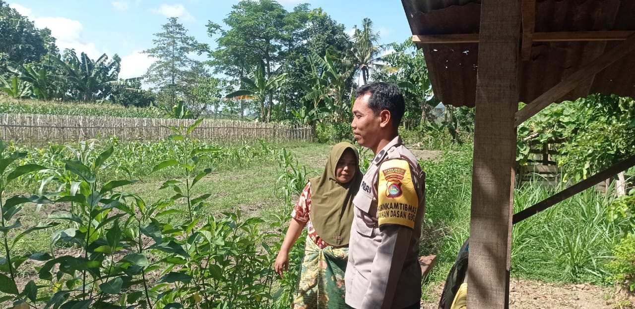 Gerakan Pekarangan Bergizi Mulai Diterapkan di Dasan Geres