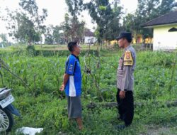 Bhabinkamtibmas Kuripan Dorong Ketahanan Pangan Lewat Pemanfaatan Lahan