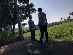 Ketahanan Pangan Desa Kuripan: Sinergi Polri dan Warga