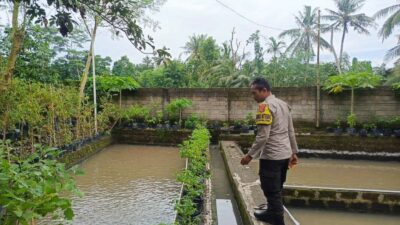 Ketahanan Pangan Dimulai dari Dusun Pesongoran, Lombok Barat