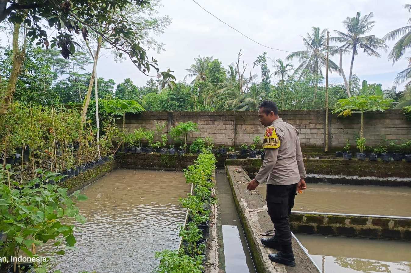Ketahanan Pangan Dimulai dari Dusun Pesongoran, Lombok Barat