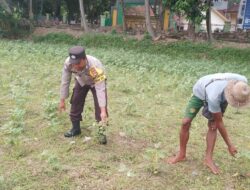 Bhabinkamtibmas di Gerung Dorong Kemandirian Pangan di Desa Taman Ayu