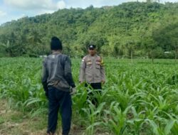 Bhabinkamtibmas Sekotong Dorong Pemanfaatan Lahan untuk Ketahanan Pangan
