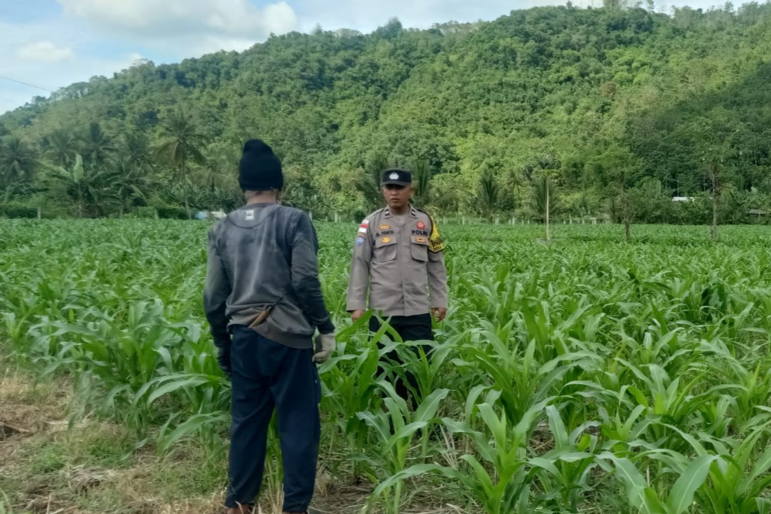 Kunjungan DDS: Ketahanan Pangan dan Kamtibmas Jadi Fokus Polisi Sekotong