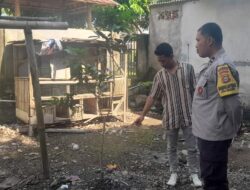 Kuripan Selatan Gerakkan Pekarangan Mandiri untuk Ketahanan Pangan