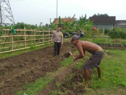 Polisi Kuripan Dorong Ketahanan Pangan dari Pekarangan Warga