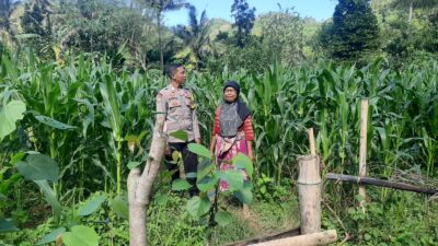 Peran Bhabinkamtibmas Desa Sekotong Timur dalam Program Pangan Nasional