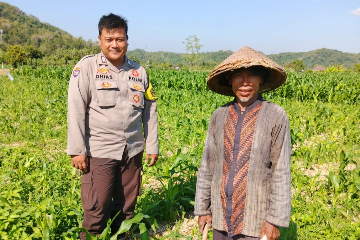 Peran Polsek Lembar dalam Ketahanan Pangan Desa