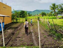 Polsek Kediri Dampingi Petani Desa Dasan Baru Jaga Ketahanan Pangan