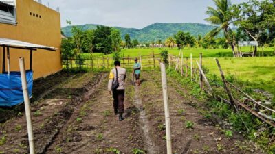 Polsek Kediri Dampingi Petani Desa Dasan Baru Jaga Ketahanan Pangan