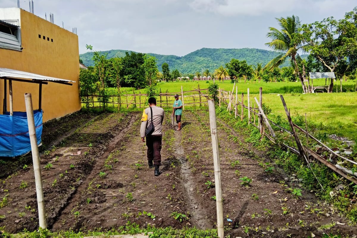 Polri Aktif di Ladang Petani Kediri, Dorong Kesejahteraan dan Ketahanan Pangan