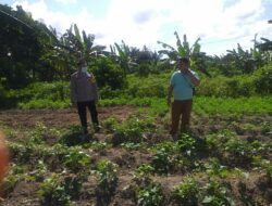 Polri Dorong Ketahanan Pangan Lewat Pendampingan Petani di Lombok Barat