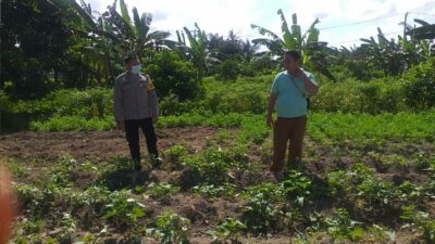 Polri Dorong Ketahanan Pangan Lewat Pendampingan Petani di Lombok Barat