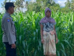 Bhabinkamtibmas Gerung Dukung Ketahanan Pangan Lewat Sambang Petani