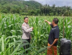Polri Dampingi Petani Sekotong, Perkuat Ketahanan Pangan