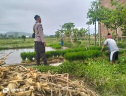 Bhabinkamtibmas Lelede Dukung Ketahanan Pangan di Lombok Barat