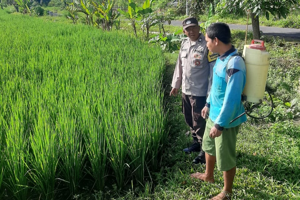 Polri Perkuat Swasembada Pangan di Desa Montong Are