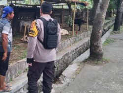 Polsek Batulayar Dorong Warga Batulayar Barat Manfaatkan Pekarangan untuk Pangan