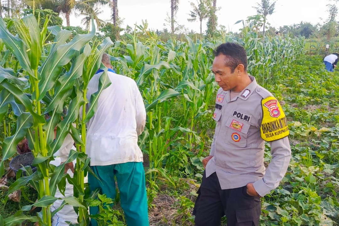 Sinergi Polisi dan Petani Wujudkan Ketahanan Pangan di Kuripan Utara