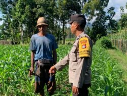 Bhabinkamtibmas Dasan Geres Dukung Ketahanan Pangan Lewat Kunjungan ke Petani