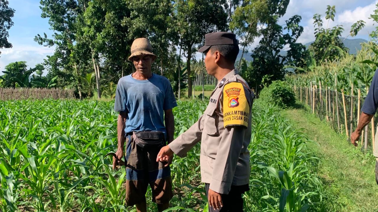 Sinergi Polri dan Petani Gerung dalam Wujudkan Ketahanan Pangan