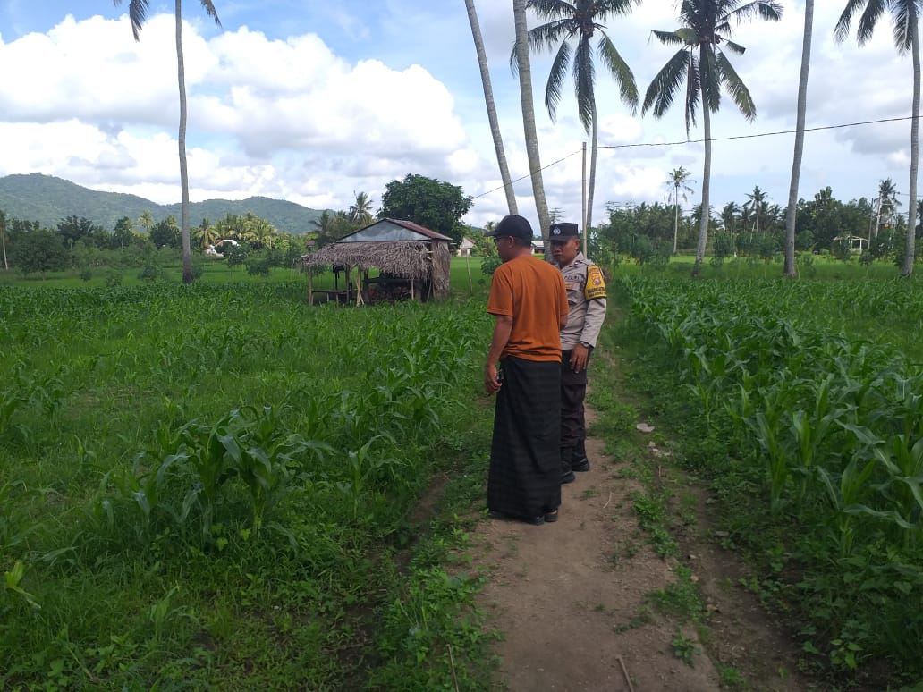 Pendekatan DDS Jadi Strategi Polri Bangun Kamtibmas Pertanian