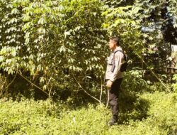 Sambut HUT Bhayangkara Ke-79 Polres Bima dan Polsek Jajaran Menggelar Lomba Ketahanan Pangan Nasional