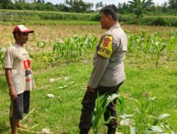 Polres Lombok Barat Dorong Ketahanan Pangan Desa Jembatan Gantung