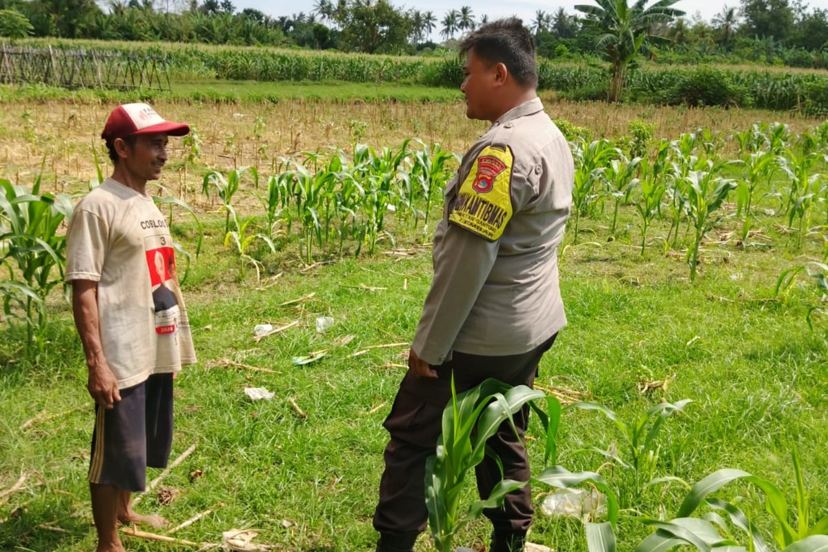 Polres Lombok Barat Dorong Ketahanan Pangan Desa Jembatan Gantung