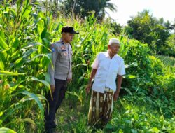 Polri Dukung Ketahanan Pangan di Mareje Timur Lewat Pengecekan Lahan