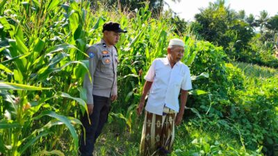 Polri Dukung Ketahanan Pangan di Mareje Timur Lewat Pengecekan Lahan