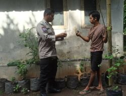 Batulayar Bangkitkan Ketahanan Pangan Lewat Pekarangan Bergizi