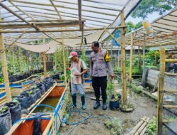 Bhabinkamtibmas Desa Bajur Dorong Ketahanan Pangan Lewat Pemanfaatan Pekarangan