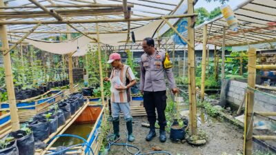Bhabinkamtibmas Desa Bajur Dorong Ketahanan Pangan Lewat Pemanfaatan Pekarangan