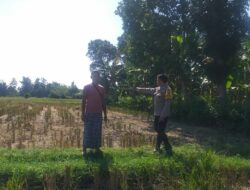 Polri Dorong Ketahanan Pangan dari Pekarangan di Desa Jagaraga, Lombok Barat