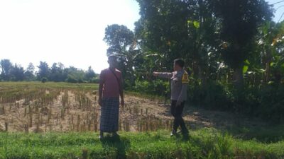 Polri Dorong Ketahanan Pangan dari Pekarangan di Desa Jagaraga, Lombok Barat