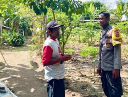 Bhabinkamtibmas Desa Rumak Dukung Ketahanan Pangan Lewat Edukasi Warga