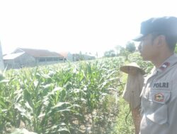 Polsek Labuapi Dorong Ketahanan Pangan Warga Desa Labuapi