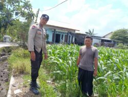 Bhabinkamtibmas Labuapi Dorong Pemanfaatan Lahan Kosong untuk Ketahanan Pangan