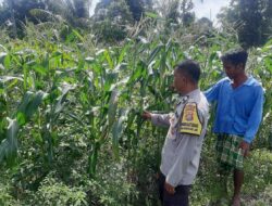 Bhabinkamtibmas Kediri Dukung Ketahanan Pangan Lewat Pendataan Petani Jagung