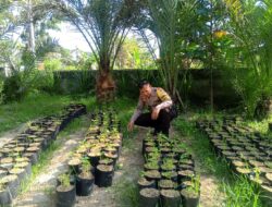 Bhabinkamtibmas Terong Tawah Dorong Ketahanan Pangan Lewat Pekarangan Produktif